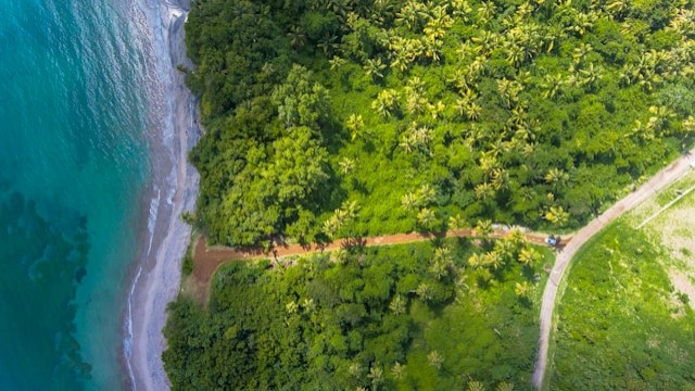 Carbon neutrality                