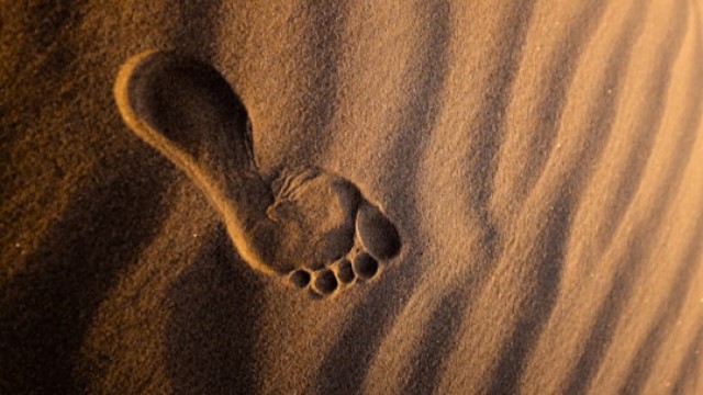 Carbon footprint